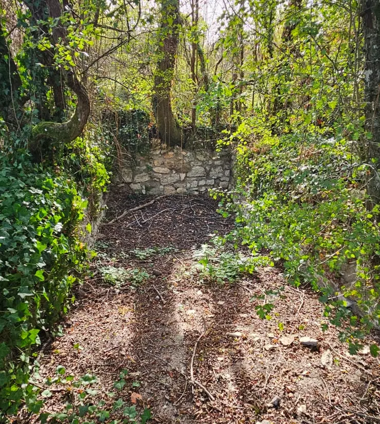 Ancien abreuvoir de pierre restauré, adossé à un mur envahi de lierre